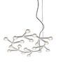 Artemide Artemide LED Net Circle Suspension Poliertes Weiss