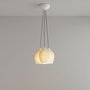 Original BTC Fin Pendant Grouping of 3