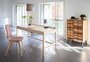 Sixay, Sixay Theo Desk Plus