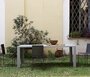 Zeus Slim Sissi Armchair - Stuhl