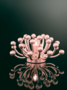 SP Light Pistillino - Rose Gold
