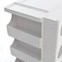 B Line Boby Rollcontainer