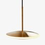 Graypants Dish10h Pendant Brass