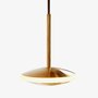 Graypants Dish6h Pendant Brass