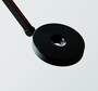 Rotaliana String T1
