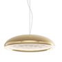 Rotaliana FEBO H1 LED Pendelleuchte - gold / glänzend