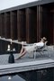 Mindo 105 Sunbed - Sonnenliege  - Light Grey - Beige Mix
