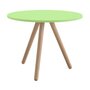 Rexite Woody Round Side Table Diameter 75 cm - Green