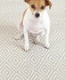 Dash and Albert Diamond Platinum/White