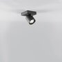 Light-Point Focus Mini Deckenleuchten - Schwarz - 1