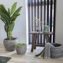 House N Barcelona Teak Bench