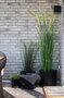 House N Bogor Baskets