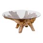 House N Amazonas Coffee Table