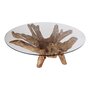 House N Amazonas Coffee Table