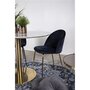 House N Geneve Dining Chair with Brass Legs