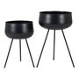 House N Ardola Flowerpots