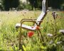 Swedese Lamino Sessel