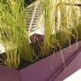 Langer 'Fermob'-Blumentopf Basket