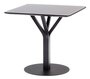 Ton Tisch Bloom Central 271