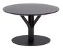 Ton Tisch Bloom Central 276