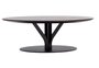 Ton Tisch Bloom Central 277