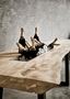 Muubs Champagne Table Gather