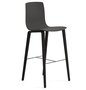 Arper Aava 02 - 7608 - Barhocker - L0006 - Schwarz - PG00015 - Anthrazit