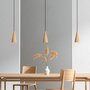 Iumi Cone Pendelleuchte