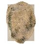 nanimarquina ALGA Teppich von Nanimarquina B: 316 cm / L: 450 cm, Grey