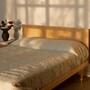 Kalon Simple Bed