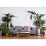 Eno Studio Woomar Coffee Table