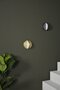 Eno Studio Plus Wall Lamp