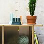 Eno Studio Pavillon Cabinet