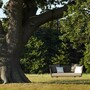Kettal Bitta Swing Gartensofa / Hollywoodschaukel