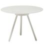 Fast Zebra 420G - Couchtisch 45 x 62 cm