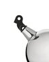 ALESSI BULBUL WASSERKESSEL