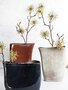 Serax Vase Niedrig 31X11 H24
