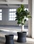 Serax Planter S Black Construct