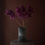 Dehgraf Vase Auroa von Dehgraf Chrome