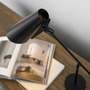 Northern Birdy Table Lamp
