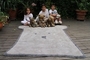 Lorena Canals Bear 120 cm x 175 cm