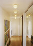 Serien Lighting Reef Ceiling Deckenleuchte