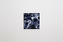 Fläpps Regal 40x40-1 - Bubbles Indigo