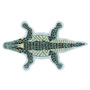 Herziger Kinderteppich Gator