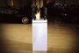 Radius High Flame
