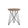 Pastoe IJhorst Side Table Walnuss, Small