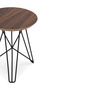 Pastoe IJhorst Side Table Walnuss, Small