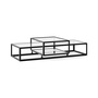 Pastoe Tangled Coffee Table Schwarz (RAL 9005) / Klarglas, Large